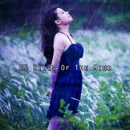 Album cover of 55 Hills Of The Mind