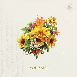 Album cover of You Said