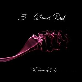 Album cover of The Union Of Souls