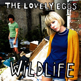 Album cover of Wildlife