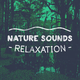 Album cover of Nature Sounds: Relaxation