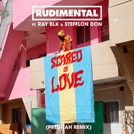 Album cover of Scared of Love (feat. RAY BLK & Stefflon Don) (Preditah Remix)