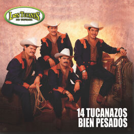Album cover of 14 Tucanazos Bien Pesados