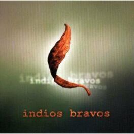 Album cover of Indios Bravos