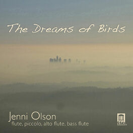 Album cover of The Dreams of Birds