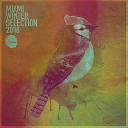 Album picture of Miami Winter Soleid Selection 2018