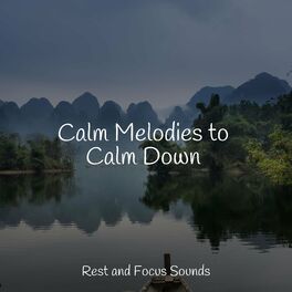 Album cover of Calm Melodies to Calm Down