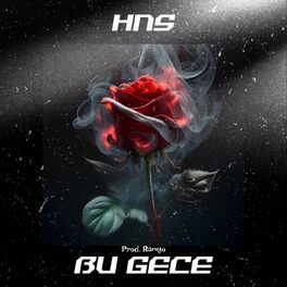 Album cover of Bu Gece