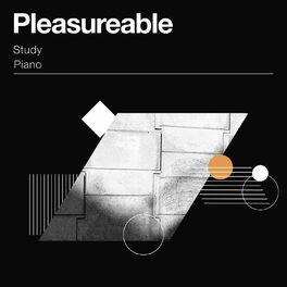 Album cover of zZz Pleasureable Study Piano Notes zZz