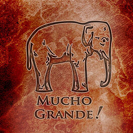 Album cover of Mucho Grande