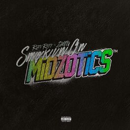 Album cover of Smokin on MiDZOTiCS