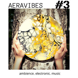 Album cover of Aeravibes 3