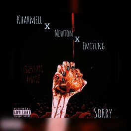 Album cover of Sorry (feat. Newton & Emiyung)