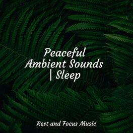 Album cover of Peaceful Ambient Sounds | Sleep