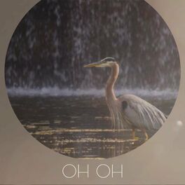 Album cover of OH OH