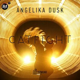 Album cover of Catfight