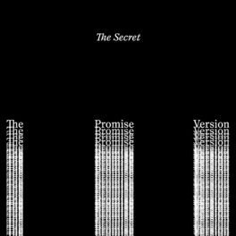 Album cover of The Secret (The Promise Version)