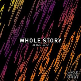 Album cover of Whole Story Of Tech House