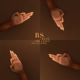 Album cover of BS