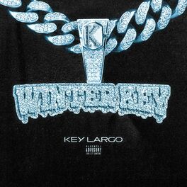 Album cover of Winter Key