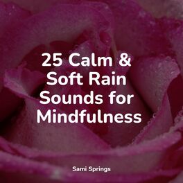 Album cover of 25 Calm & Soft Rain Sounds for Mindfulness