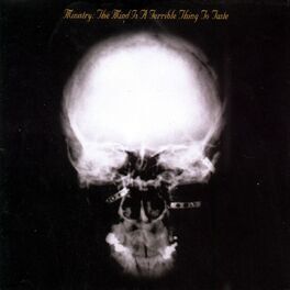 Album cover of The Mind Is a Terrible Thing to Taste