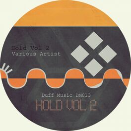 Album cover of Hold Vol.2