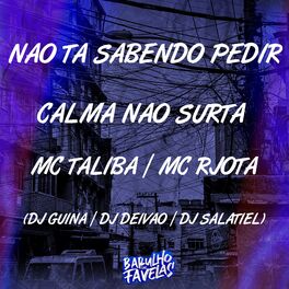 Album cover of Não Ta Sabendo Pedir - Calma Não Surta