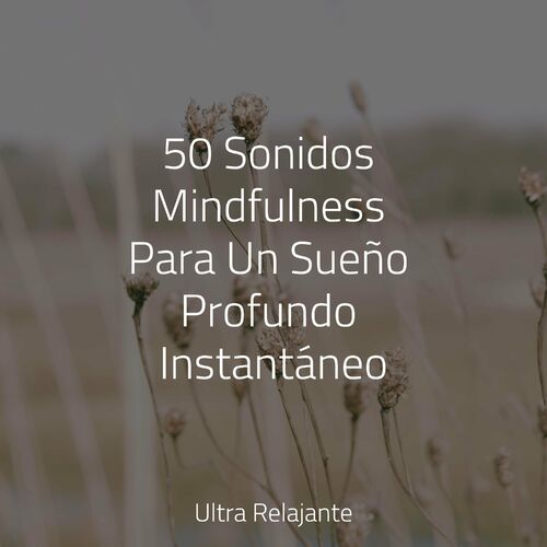 Dormir E Meditar Nuevo Album Sonidos Mindfulness Para Un Sue O