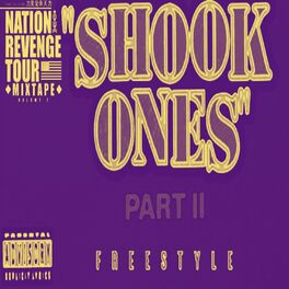 Album cover of Shook Ones (Freestyle)