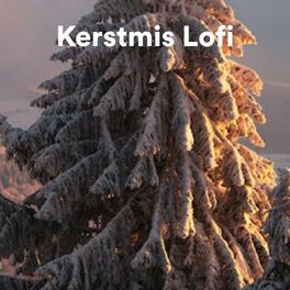 Album cover of Kerstmis Lofi