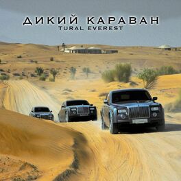 Album cover of Dikiy karavan