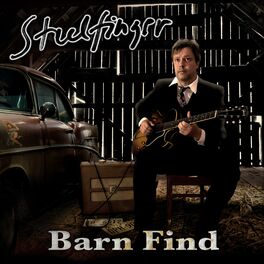 Album cover of Barn Find