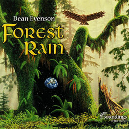 Album cover of Forest Rain
