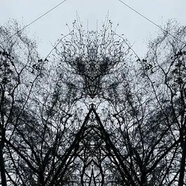 Album cover of Mirrored Autumn