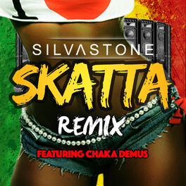 Album cover of Skatta