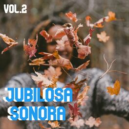 Album cover of Jubilosa Sonora Vol. 2