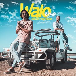 Album cover of Waio (Remix)