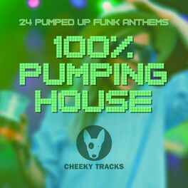 Album cover of 100% Pumping House