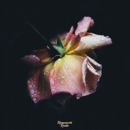 Album cover of Flower Pot in the Rain