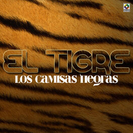 Album cover of El Tigre