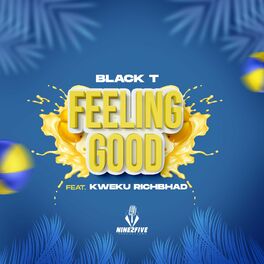 Album cover of Feeling Good (feat. Kweku Richbhad) [Radio Edit]