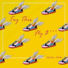 Album cover of Try This (Fly Shit)