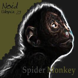 Album cover of Spider Monkey