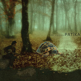 Album cover of Patika