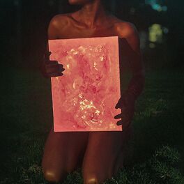 Album cover of Unknown Lead