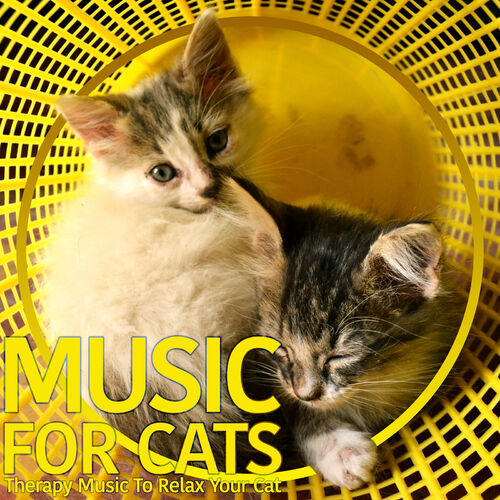 Music to 2024 relax cats