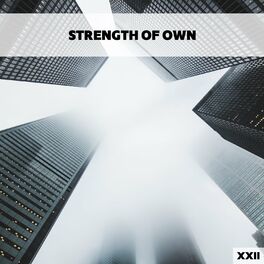 Album cover of Strength Of Own XXII
