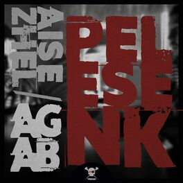 Album picture of Pelesenk (feat. Aga B)