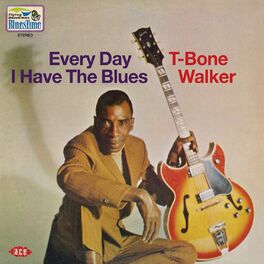 Album cover of Every Day I Have the Blues